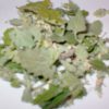 Wild N' Free Organic Catnip Premium Blend Sample Bag - Image 3