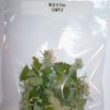 Wild N' Free Organic Catnip Premium Blend Sample Bag