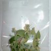 Wild N' Free Organic Catnip Premium Blend Sample Bag - Image 4